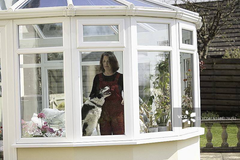棕发女子在温室里和柯利牧羊犬图片素材