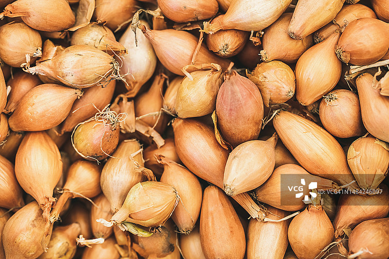 红葱头洋葱图片素材