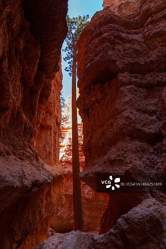 岩石形成的低角度视图图片素材