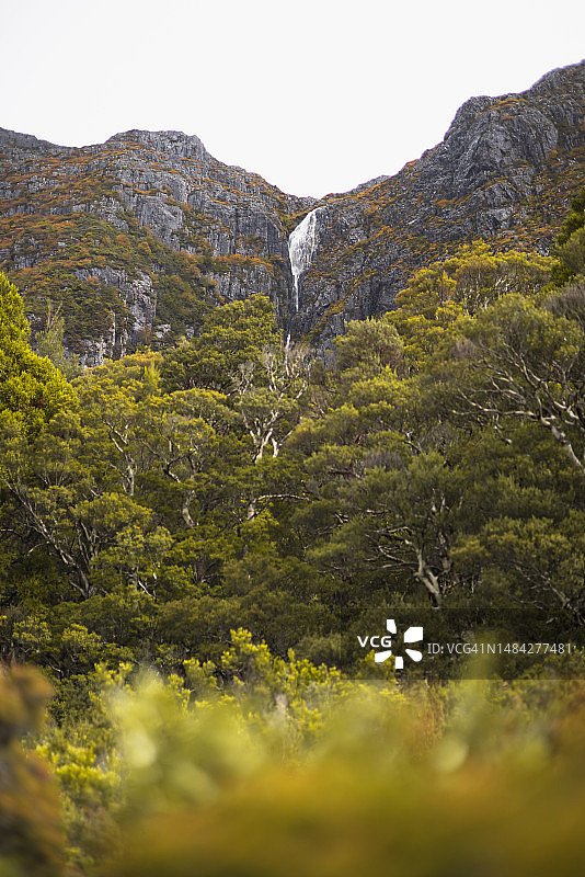 摇篮山国家公园的瀑布图片素材