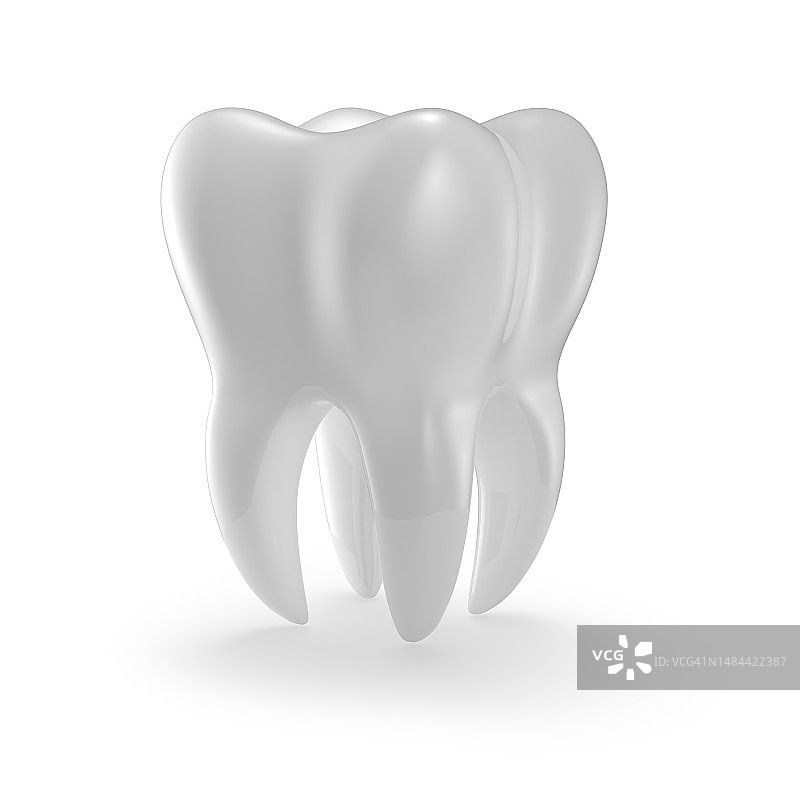 白色背景上隔离的牙齿（臼齿）牙科模型。3D渲染图片素材