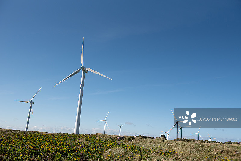 晴朗的一天的风力涡轮机发电场图片素材