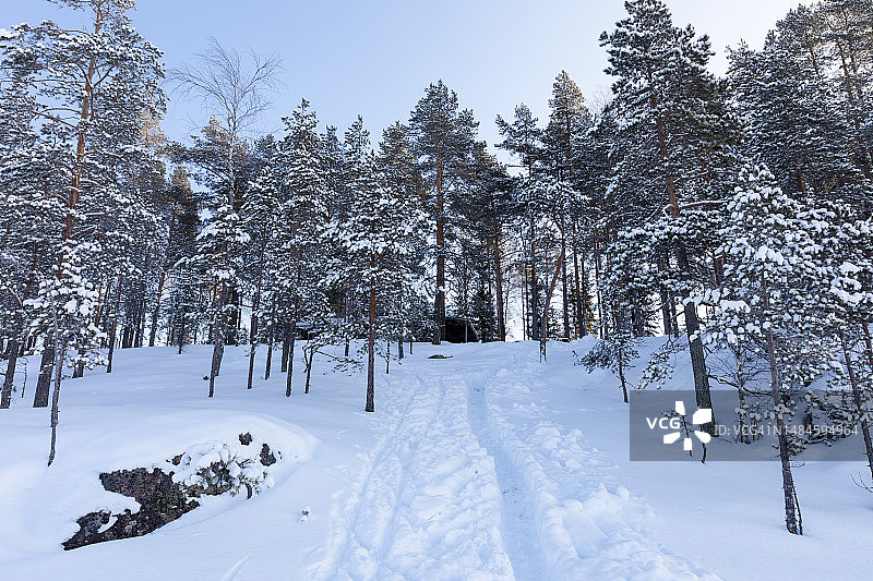 卡亚尼凯努区冬季森林中的自制越野滑雪道（芬兰中部）图片素材