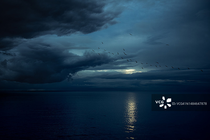 飞鸟掠过蓝色海洋风暴图片素材