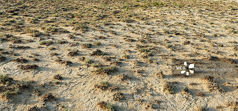具有矮小植被的干燥地形图片素材
