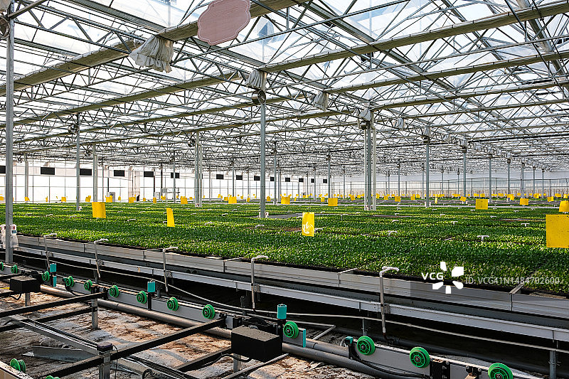 智能温室蔬菜自动育苗基地图片素材