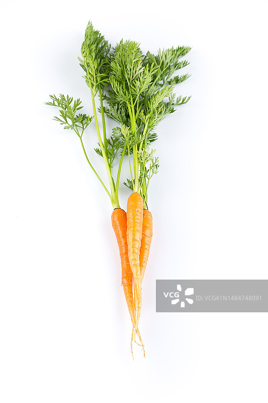 白色背景上的一堆新鲜胡萝卜图片素材