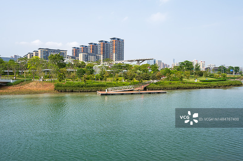 深圳桂湾公园风光图片素材