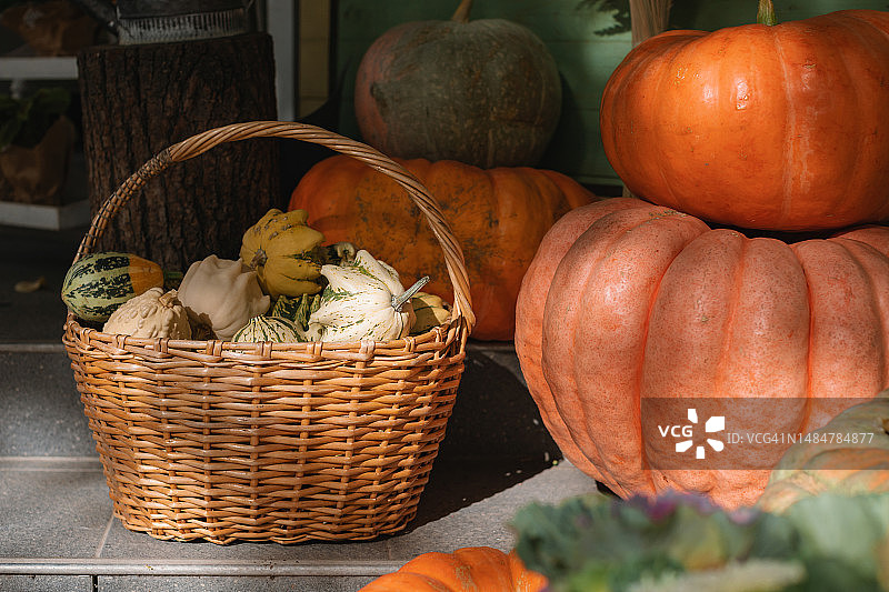 装满杂 assorted 南瓜的篮子图片素材