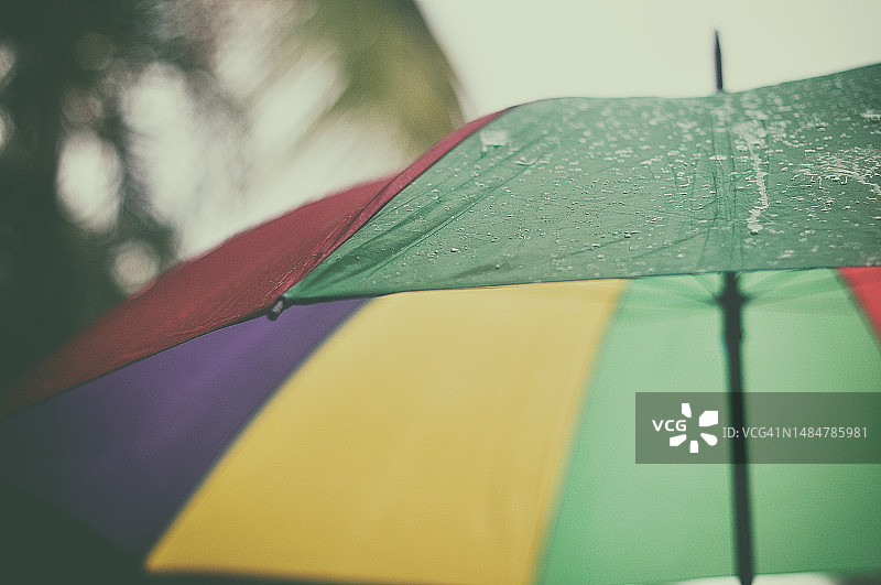 雨中潮湿的彩色雨伞特写图片素材