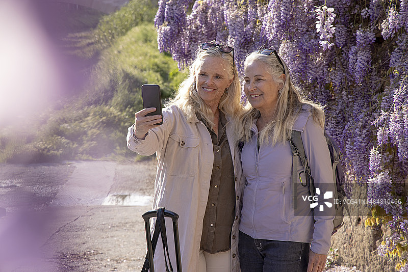 年长的女人们在紫藤下拍照图片素材