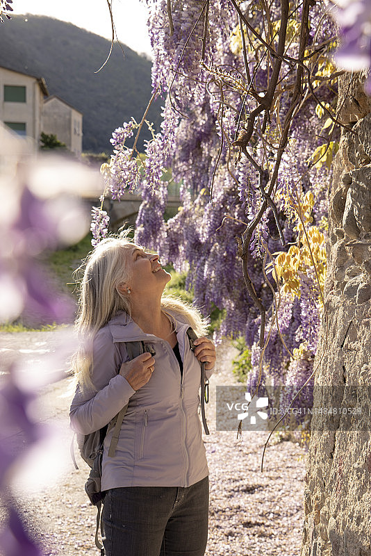 年长的女人在紫藤下小憩图片素材