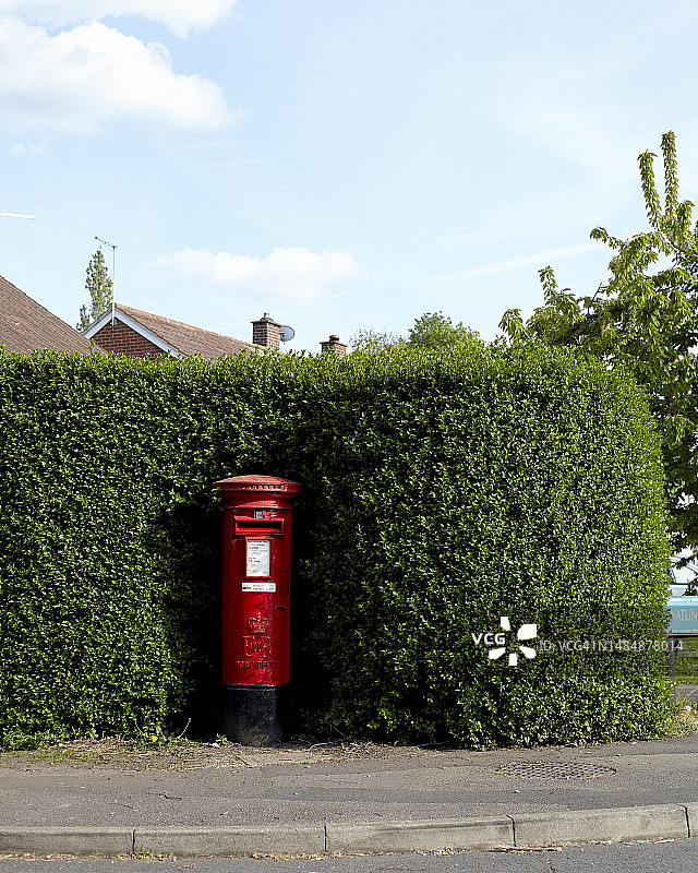 春季细节3图片素材