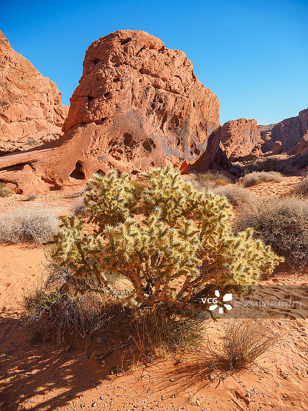 内华达州火焰谷州立公园的红色砂岩地貌图片素材
