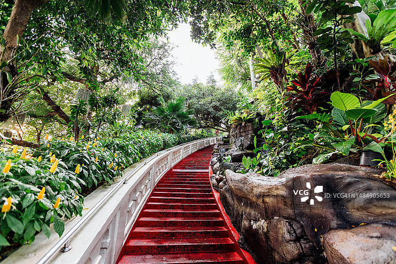 通往泰国曼谷金山寺热带植物园的小路图片素材