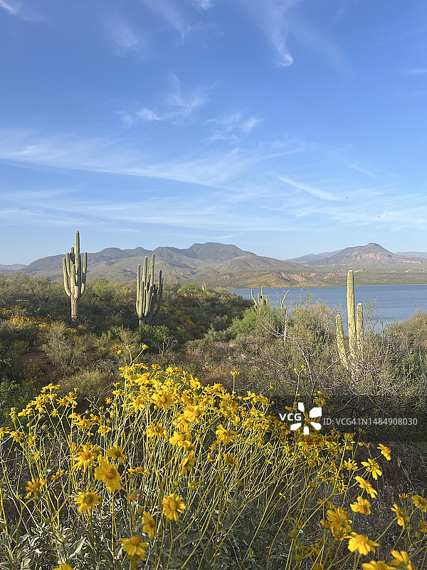 凤凰城亚利桑那州附近的罗斯福湖图片素材