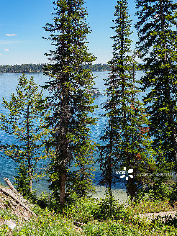 大提顿国家公园的珍妮湖图片素材