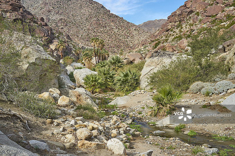 安扎博雷戈沙漠绿洲图片素材