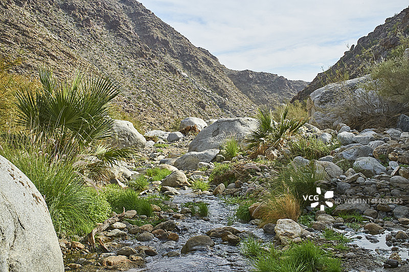 安扎博雷戈沙漠绿洲图片素材