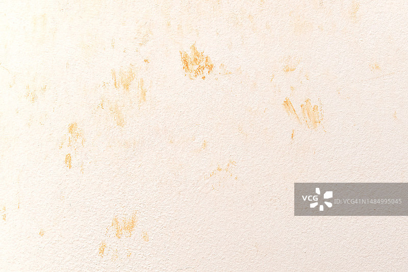 墙上的猫脚印图片素材