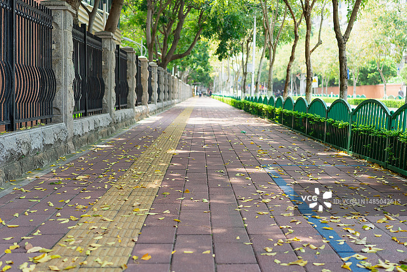 光影下的街道人行道与落叶图片素材