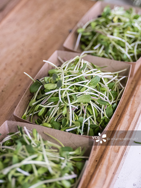 盒子里的绿色嫩芽特写图片素材