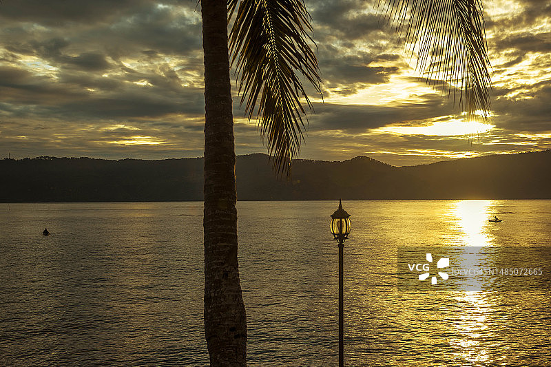 多巴湖岸边的棕榈树，旭日金光洒满湖面图片素材