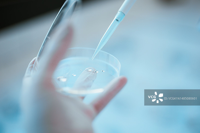 使用滴管从培养皿中提取样本的科学家图片素材