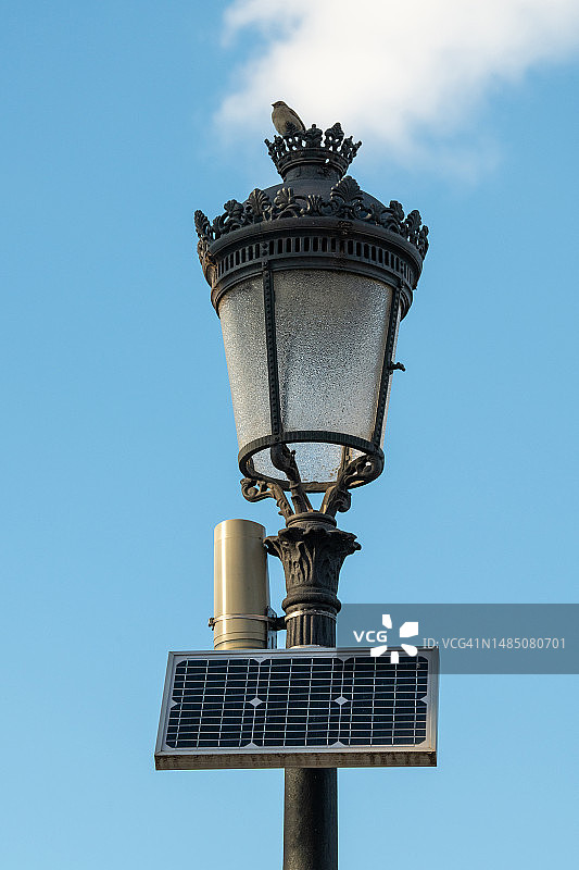 带有太阳能板的灯柱上的麻雀图片素材