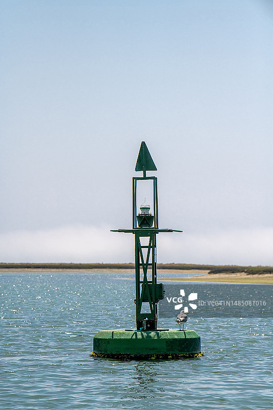 海鸥栖息在浮标上图片素材