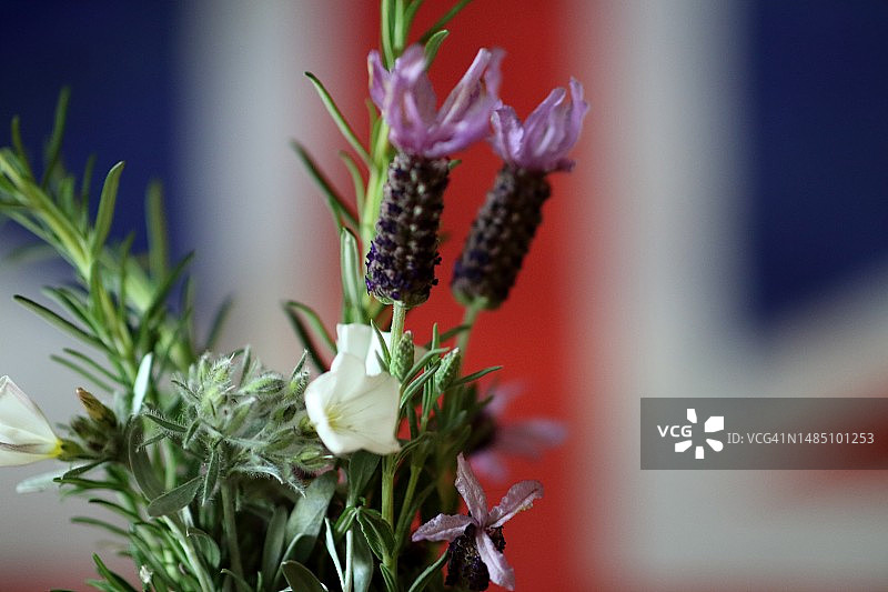 庆祝英国国王加冕的装饰图片素材