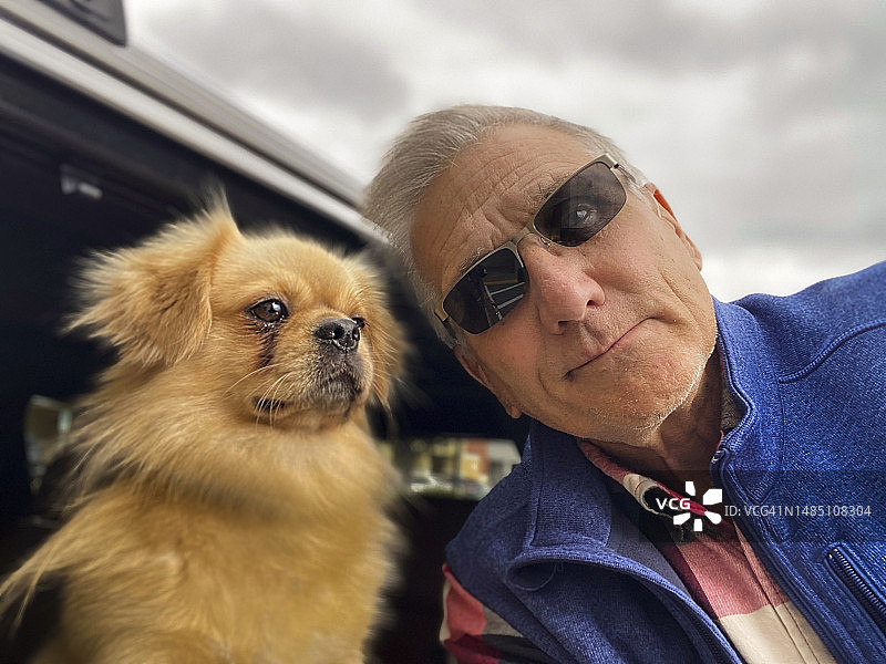 藏獒和男主人在汽车旁图片素材