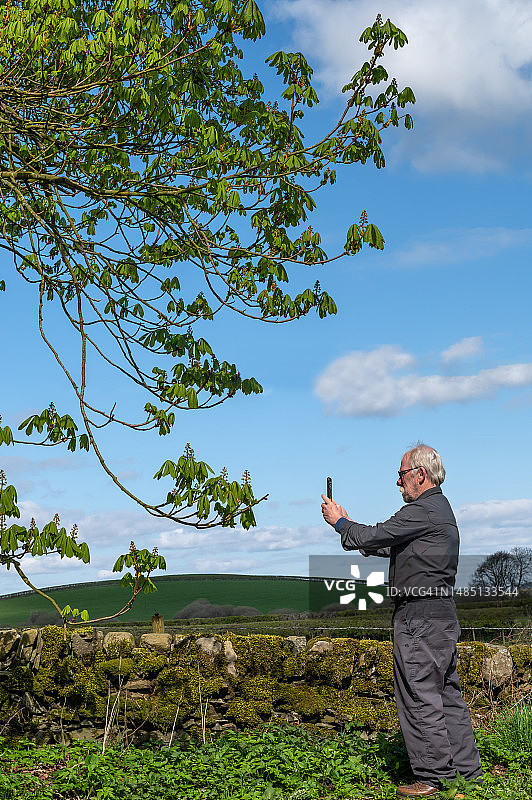 拍摄树木的年长男人图片素材