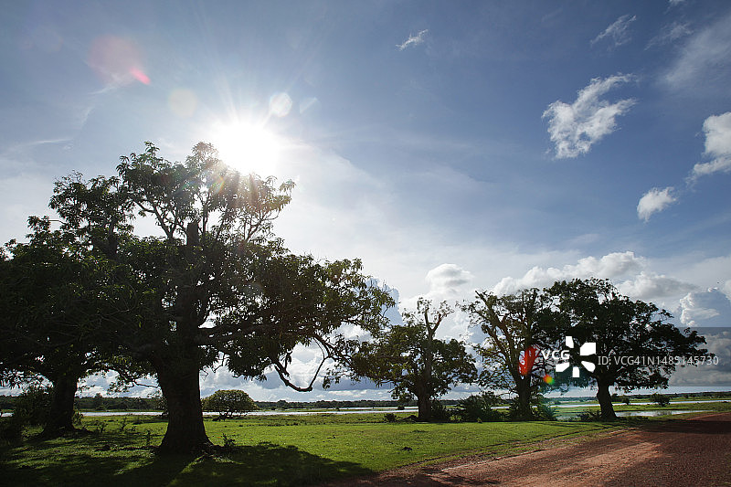 Marajó巴西亚马逊岛图片素材