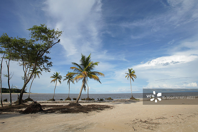 Marajó巴西亚马逊岛图片素材