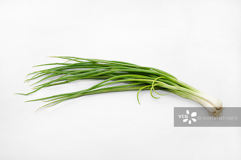 白色背景下的迷迭香特写图片素材