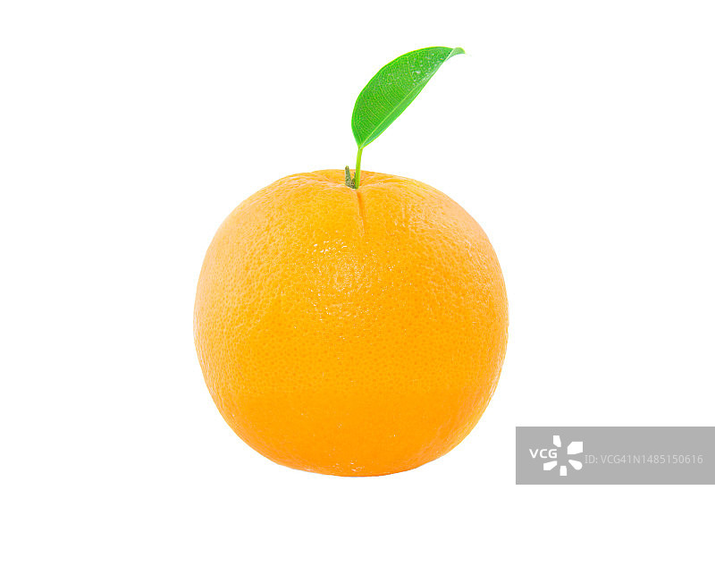白色背景上的新鲜橙子图片素材