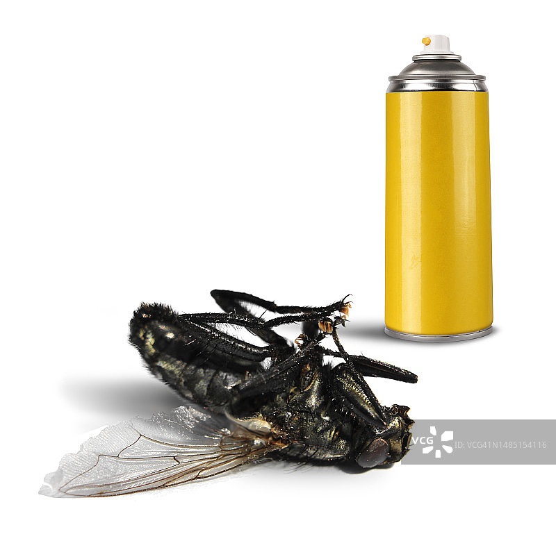 杀虫剂喷雾瓶和死苍蝇，罗马尼亚图片素材