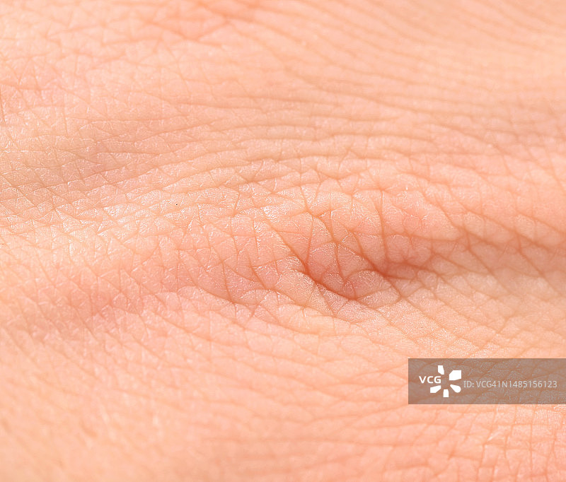 摩尔多瓦人手全景图片素材