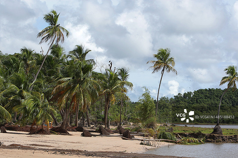 Marajó巴西亚马逊岛图片素材