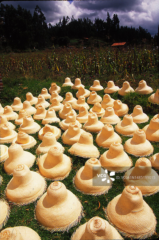 手工编织的巴拿马草帽图片素材