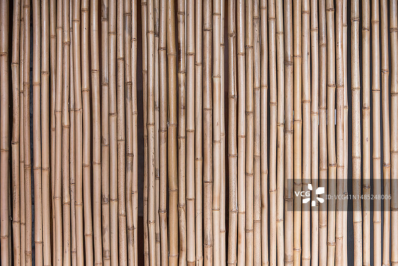 具有自然纹理的竹子背景图片素材