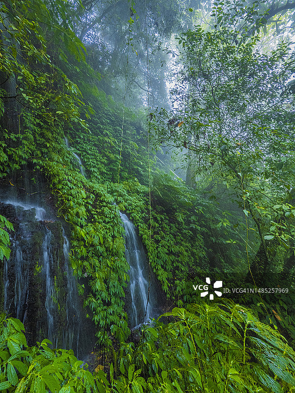 印度尼西亚巴厘岛北部雨林中的班尤马拉双瀑布图片素材