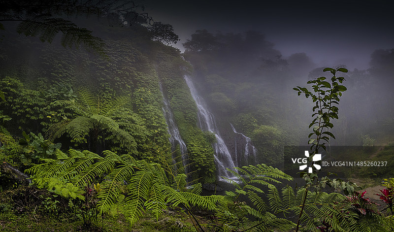 印度尼西亚巴厘岛北部雨林中的班尤马拉双瀑布图片素材