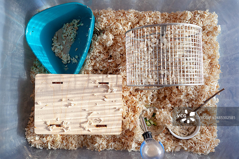 可爱的叙利亚仓鼠从盒子里探出头图片素材