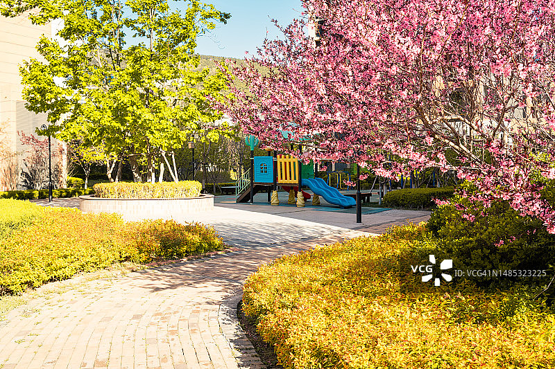 住宅区中的绿色环境图片素材