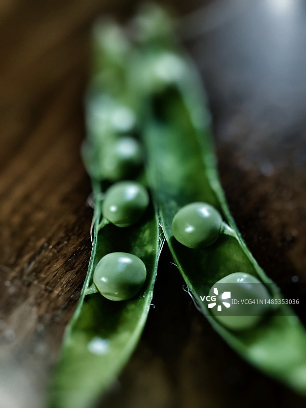 壳里的绿色蔬菜图片素材