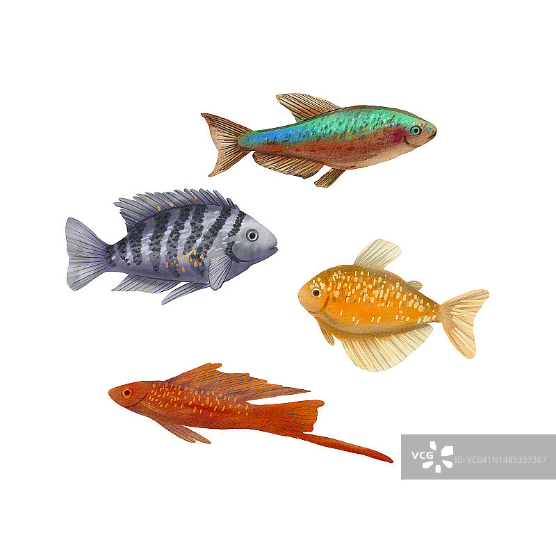 海洋异国情调鱼类套装水彩热带水下动物插画水族箱鱼类岛屿收藏卡通风格适合设计、包装、商品图片素材