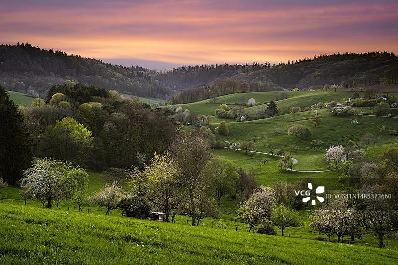 德国奥登瓦尔德地区日落时分的春天草地丘陵果树风光图片素材