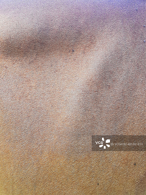 牛皮纹理的完整画面图片素材